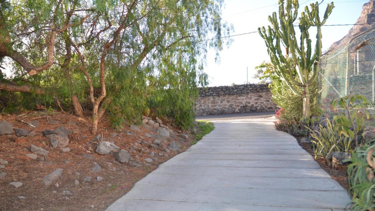 Casita La Palmera Valle Gran Rey Kültér fotó